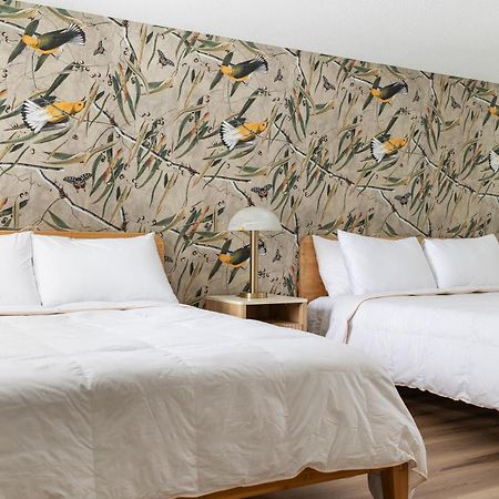 The Windmoor Lodge Grayling Zimmer foto
